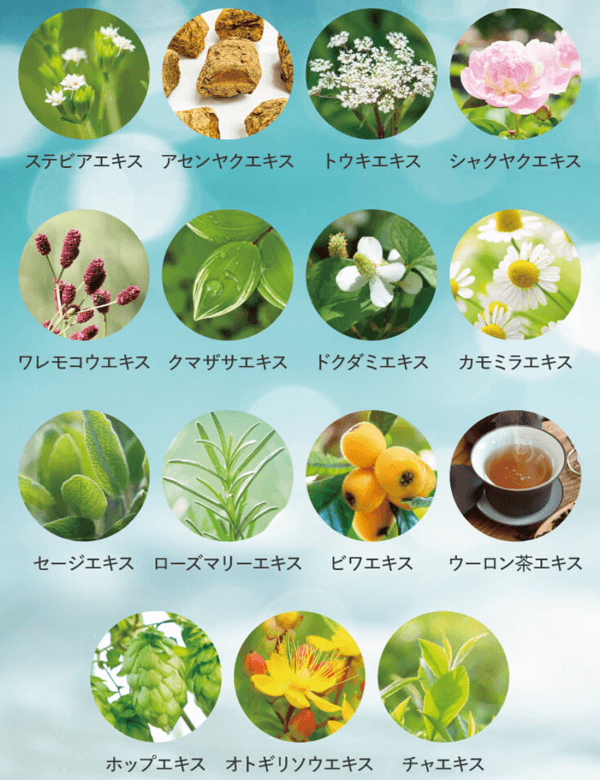 KIREIKI-15の植物由来成分